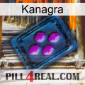 Kanagra 04